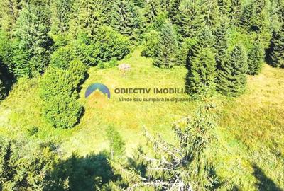 Teren Construcții intravilan de 14114 mp, în Schitu Tarcău - 3