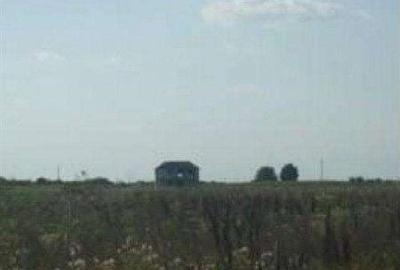 Teren de 644 mp, în Copăceni - 3