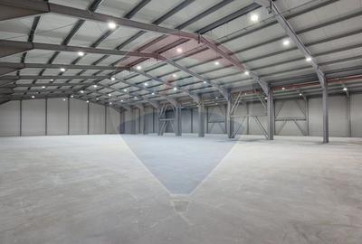 Spațiu industrial, de 2,645 mp, în Balotești