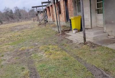 Casa si teren Marpod - 5
