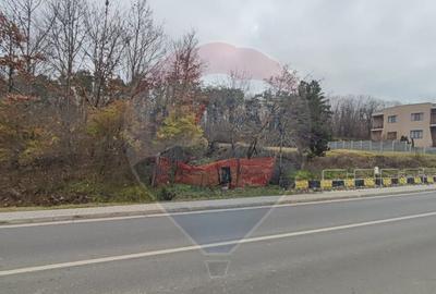 Oportunitate investi?ie B. Felix teren intravilan cu PUZ... - 13