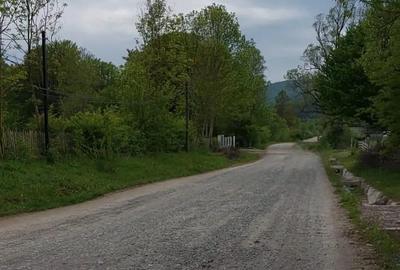 Teren de 3465 mp, în Trăisteni - 4