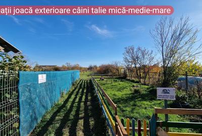 Casă cu 3 camere în Lotrioara - 1