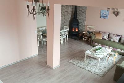 Oportunitate!! Casa individuala, afacere la cheie, Satu Mare - 15