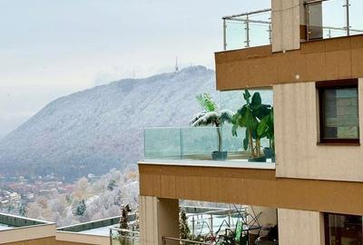 Garsonieră decomandată, mobilată în Drumul Poienii - 2