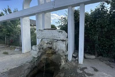 Afacere la cheie cu vad gata creat! CE1185