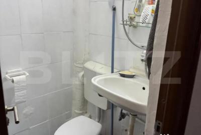 Garsonieră semidecomandată în Lotrului - 3