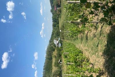 Vand casa Dragasani, Carcadiesti - 6