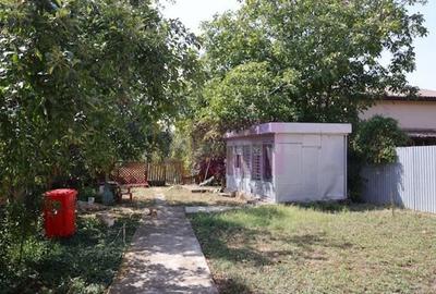 Vila Clinceni - Ciorogirlei. - 11