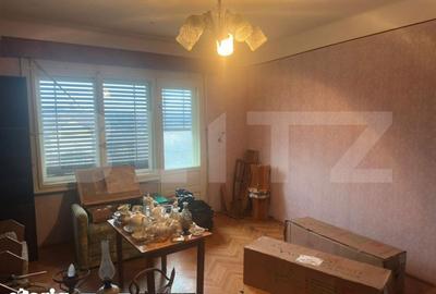Casă cu 4 camere cu Teren 6197 Mp în Micula - 8