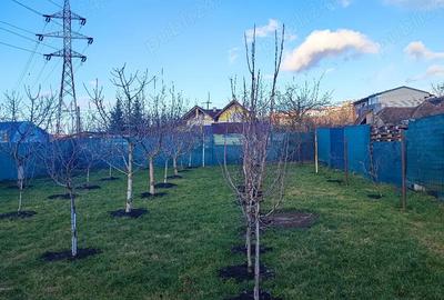 Casă în Apahida - 5