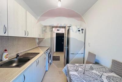 Apartament cu 2 camere semidecomandat, mobilat în Drumul Taberei - 4