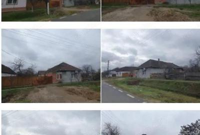 Cota 1/2 din casa -Loc. Sintea Mare, jud. Arad - 2