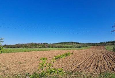 Cota de 1/2 din teren extravilan, comuna Rogova, Jud Mehe... - 1