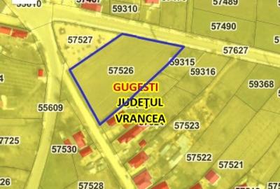 Teren agricol extravilan de 13767 mp, în Gugești - 4