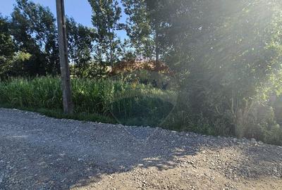 Teren intravilan, 7500 mp in Moara Carp / Strada Eternita... - 12