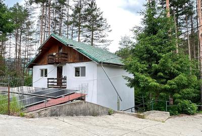 Csa de vânzare in pădure, în Moroeni, Dâmbovița - 7