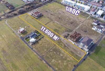 Teren arabil intravilan pentru PUZ 11.600mp | Giroc - 6