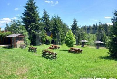 Ocazie , cabana, 300 mp utili, Poiana Stampei cu 6060 mp teren - 13