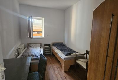 Proprietate speciala Dumbravita - casa individuala !! - 11