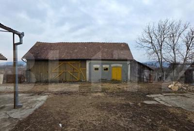 Casă cu 4 camere cu Teren 4000 Mp în Central