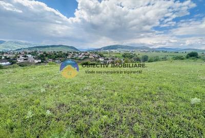 Teren agricol intravilan de 3000 mp, în Ciritei