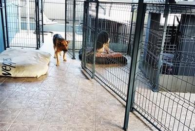 Casa individuala de vanzare cu priveliste frumoasa si garaj - 16