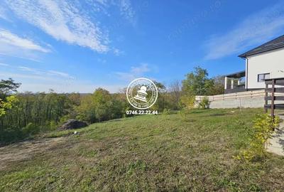 Casa Parter Valea Lupului , 155mp utili,1550mp teren + padure - 3