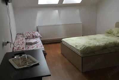 Pensiune turistica Valiug Crivaia - 5