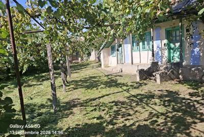 Casă cu 3 camere în Siliștea - 2