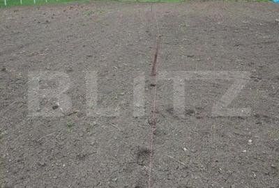 Teren de 3000 mp, în Călărași - 4