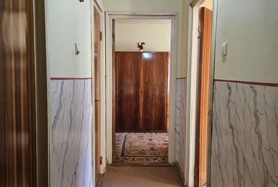 Apartament cu 3 camere decomandat în Vasile Aaron - 9