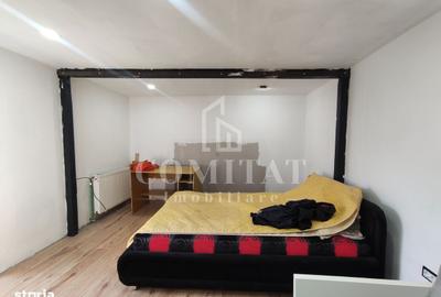 Casă cu 1 camere cu Teren 500 Mp în Andrei Mureșanu - 2
