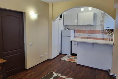 Apartament cu 2 camere semidecomandat, mobilat în Bucium - 3