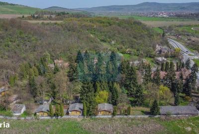 Spațiu comercial, în Băița - 3