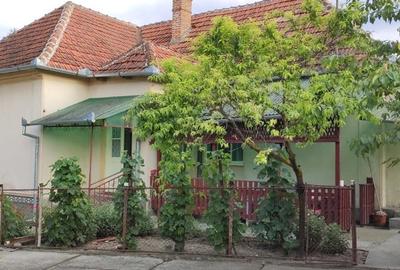 Casă cu 2 camere cu Teren 4384 Mp în Ilișua - 10