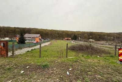 Teren de 3258 mp, în Hidiș - 6