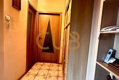 Apartament cu 3 camere decomandat, mobilat în Aradului - 9