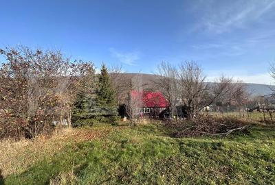 Casa de vacanta de vanzare, in Lisnau - Comuna Ozun - 8