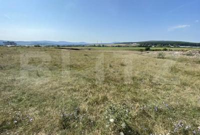 Teren de 3800 mp, în Aghireș - 4