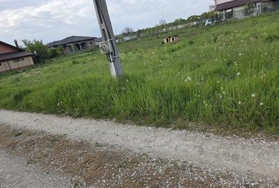 Teren de 739 mp, în Bogdănești (Bujoreni) - 2