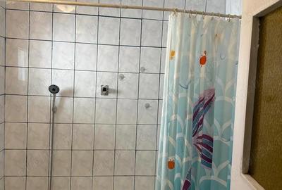 3 camere Rahova - Margeanului - Petre Ispirescu - 8