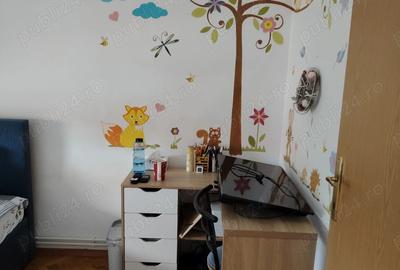 Vand casa Arad 40000 euro fix - 3