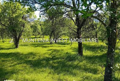 Spațiu comercial, în Brădetu - 2