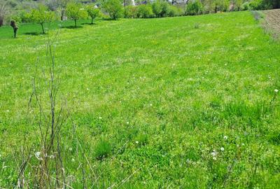 Spațiu comercial, în Ștefănești - 1