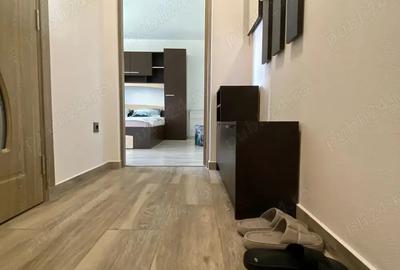 Apartament 1 camera la cheie - 3