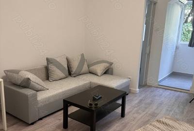 Colentina teiul doamnei metrou obor - 9