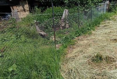 Spațiu comercial, în Baia Sprie - 4