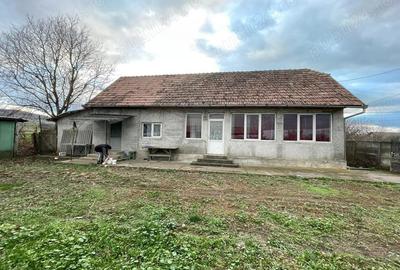 Vand Casa Cisteiu de mures - 1