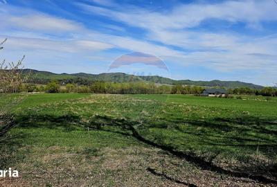 Teren de 10000 mp, în Vânători-Neamț - 8